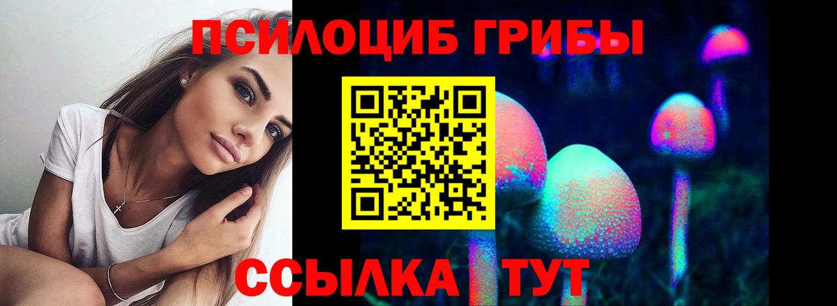 Чапаевск  Галлюциногенные грибы Cubensis  Вход с VPN 